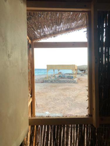 Alwaha Camp