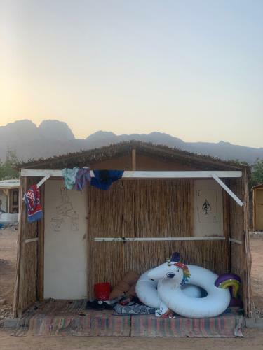 Alwaha Camp