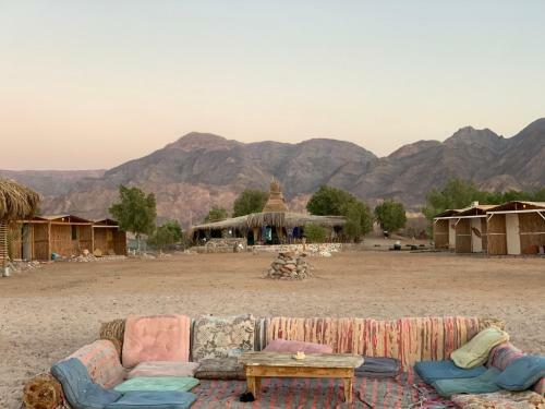 Alwaha Camp