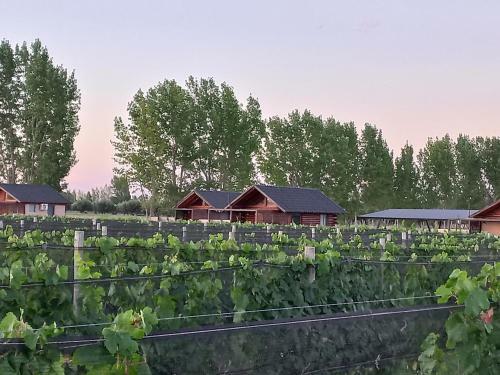 Hostal Martyniuk Lodges Entre Vi�edos