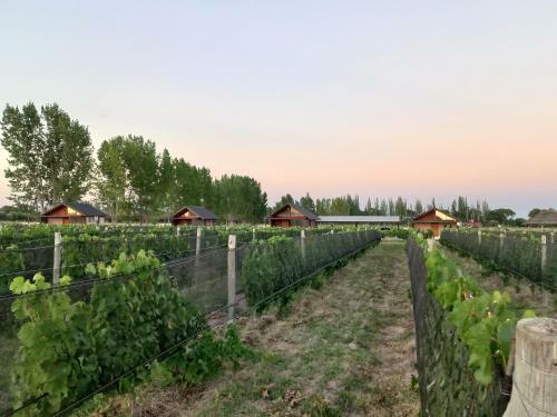 Hostal Martyniuk Lodges Entre Vi�edos