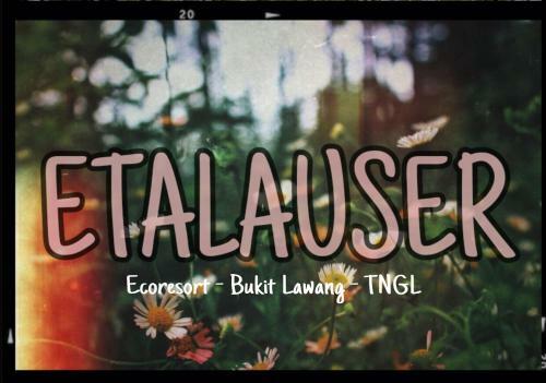 Hotel Etalauser Jungle Gate Ecoresort Bukit Lawang