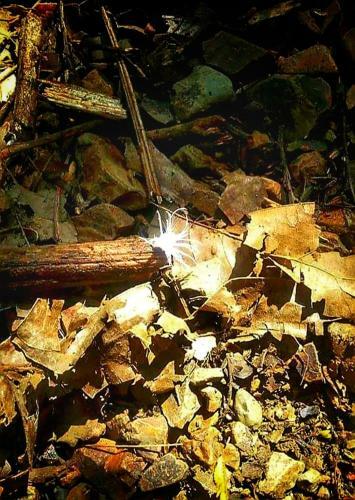Hotel Etalauser Jungle Gate Ecoresort Bukit Lawang