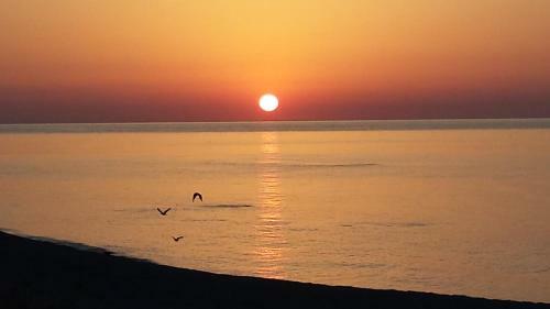 Hostal Bed & Breakfast Sunrise