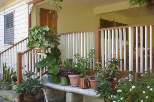 Bed & Breakfast Finjam Cottage