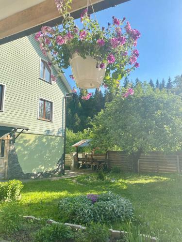 Hostal Medova Hata