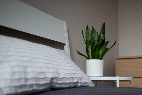 Good Vibes Apartment