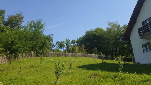 La Curtea Argeseana