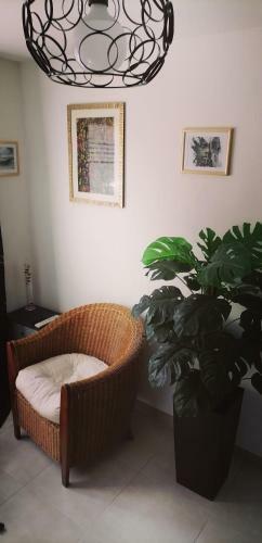 Apartamento Studio Confort Jungle
