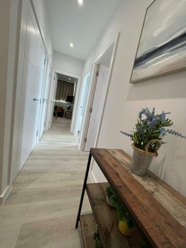 Apartamento 99 Guest House