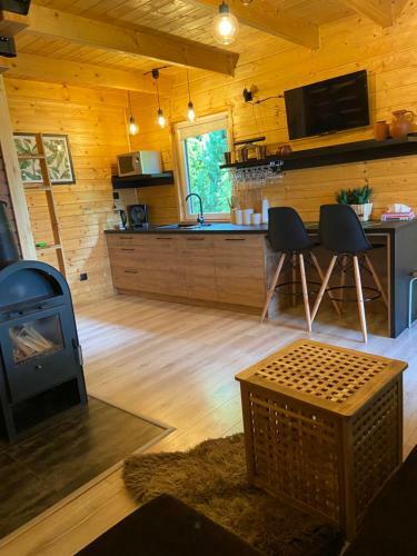 Lodge Bac�wka Na Le?nej