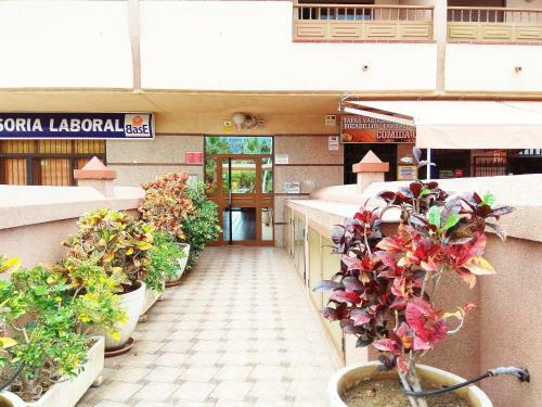 Big Room With Private Bathroom In Los Cristianos