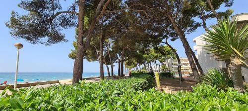 Apartamento Miramar Serveis - Planta Baja Internacional