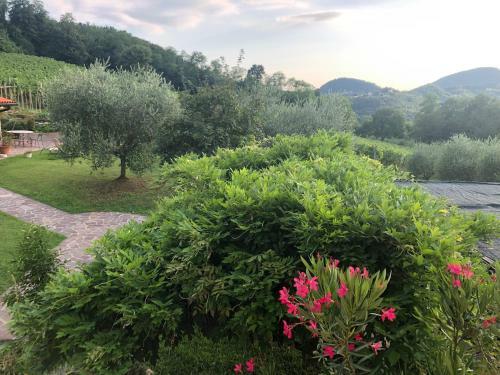 Agriturismo Terre Bianche