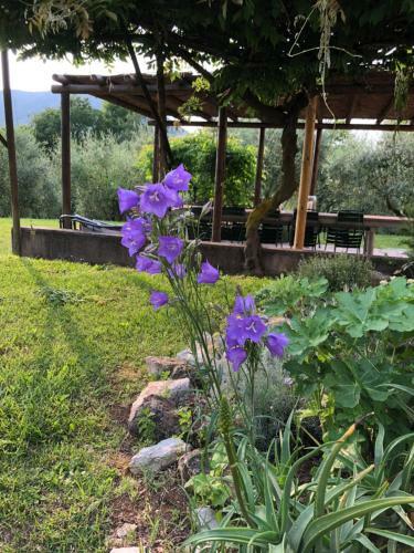 Agriturismo Terre Bianche
