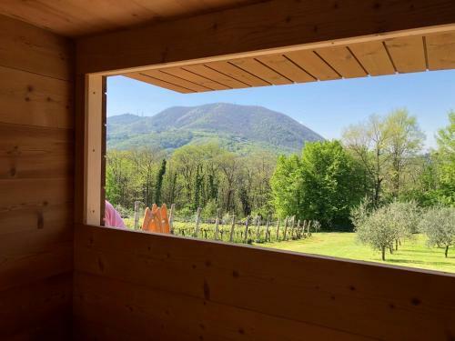 Agriturismo Terre Bianche