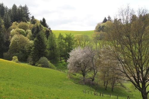 Bed & Breakfast La Ferme Du Thiollet
