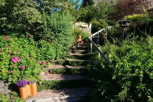 Bed & Breakfast La Ferme Du Thiollet
