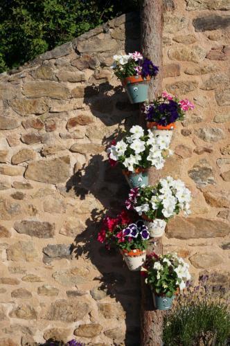 Bed & Breakfast La Ferme Du Thiollet