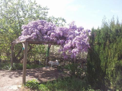 El Molino De Las Palomas