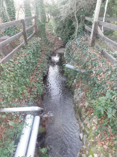 El Molino De Las Palomas