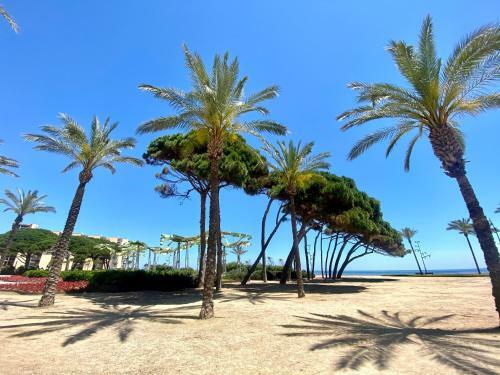 Apartamento En La Pineda