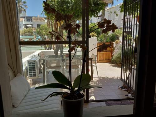 Apartamento Villa Lagos A 25 Metros Del Mar
