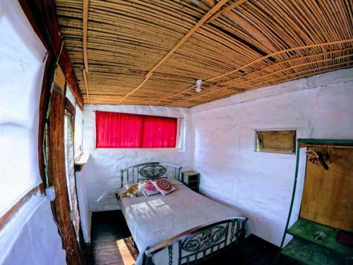 Posada La Condesa Hostel