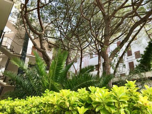 Apartamento Appartement En 2eme Ligne de Mer
