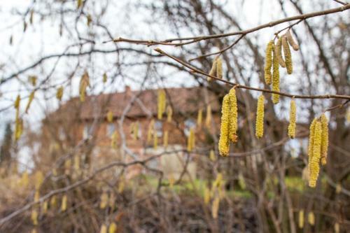Gospodarstwo Agroturystyczne Powierz�wka