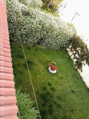 Apartamento Rue Cavalli