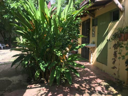 Bed & Breakfast Canjam Retreat