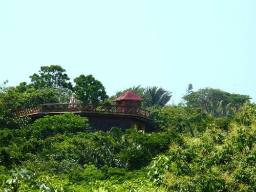 Roatan Bed & Breakfast Apartments