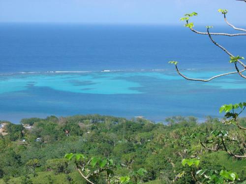 Roatan Bed & Breakfast Apartments