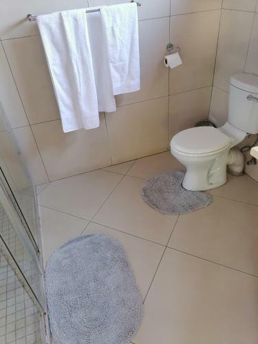 Hostal Vichy Nests