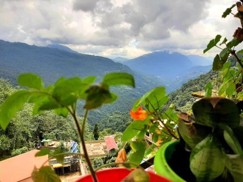 Hotel Chalet Orchid Eco Retreat