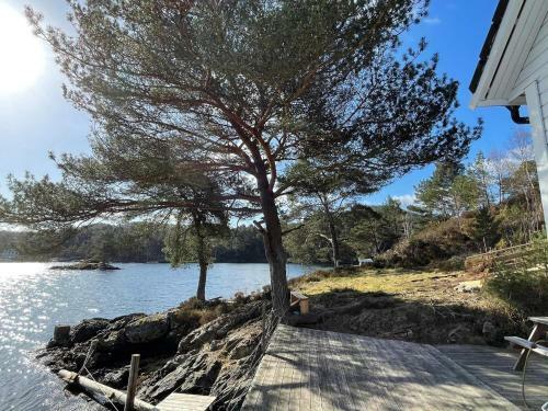6 Person Holiday Home In Rubbestadneset
