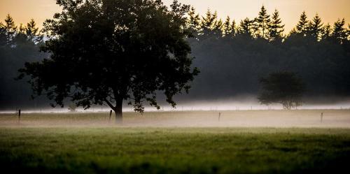 Bed & Breakfast Devilla Rijs