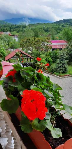 Hostal Casa Mym