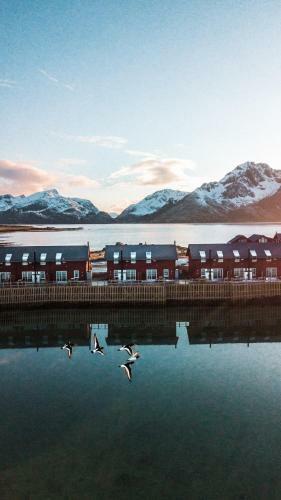 Lodge Nappstraumen Seafront Cabin