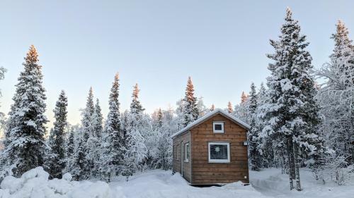 Tiny Lakeside Home