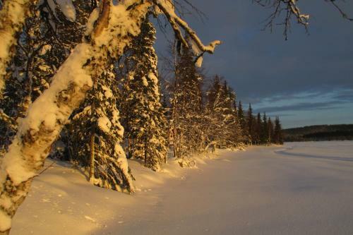 Tiny Lakeside Home
