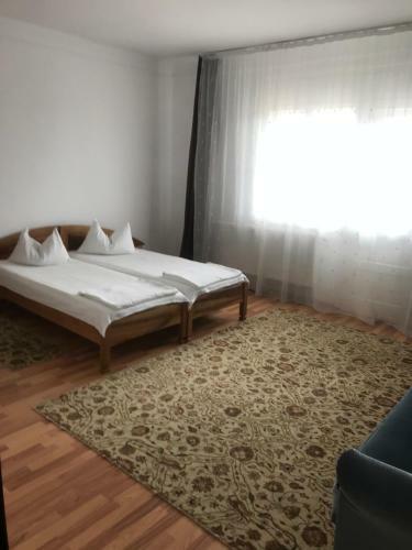 Hostal Pensiunea Elim