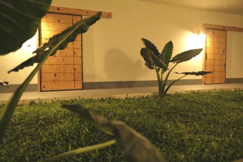 Posada Tropicopia