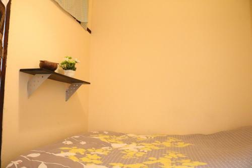Eco House