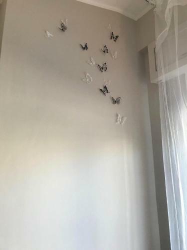 Apartamento La Farfalla