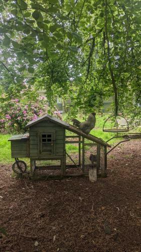 Lough Shore Cottage