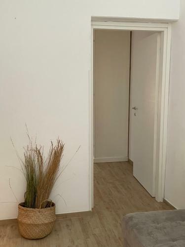 Apartamento Il Cortiletto B&B