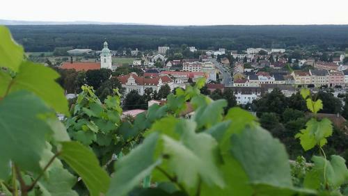 Apartm�ny U Z�mku