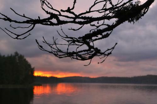 Hotel Loikansaari Lomam�kit Holiday Cottages
